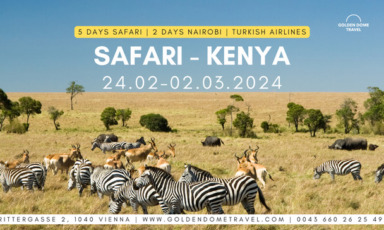 safari | kenya