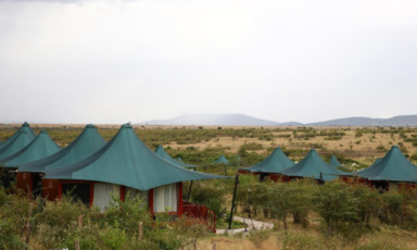 safari in kenya