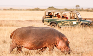 safari in kenya