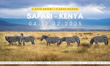 safari 2 | kenya