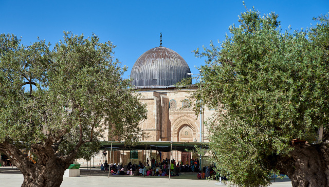 kudüs turu | al quds tour | berlin, hamburg, deutschland, almanya