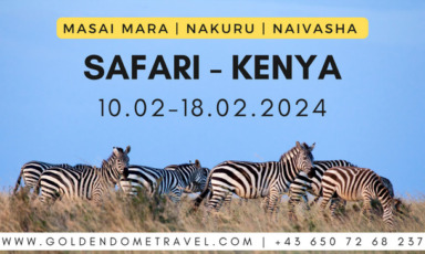 safari | kenya